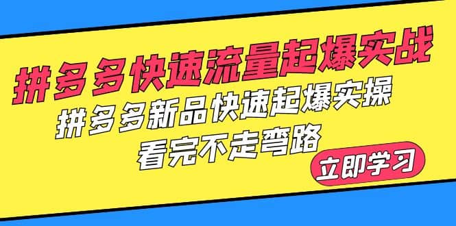 拼多多-快速流量起爆实战，拼多多新品快速起爆实操，看完不走弯路-一起发