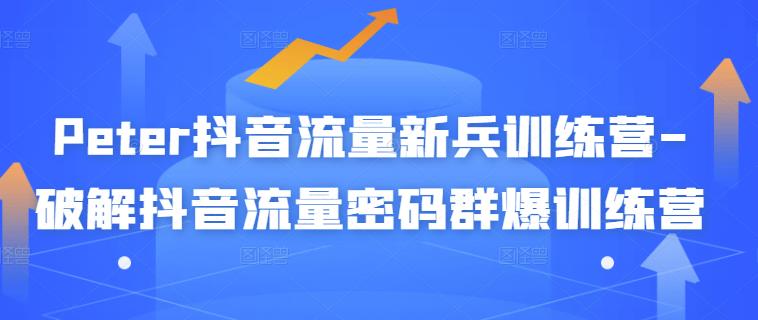 Peter抖音流量新兵训练营-破解抖音流量密码群爆训练营(新兵)-一起发