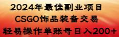 2024年最佳副业项目 CSGO饰品装备交易 轻易操作单账号日入200+-一起发