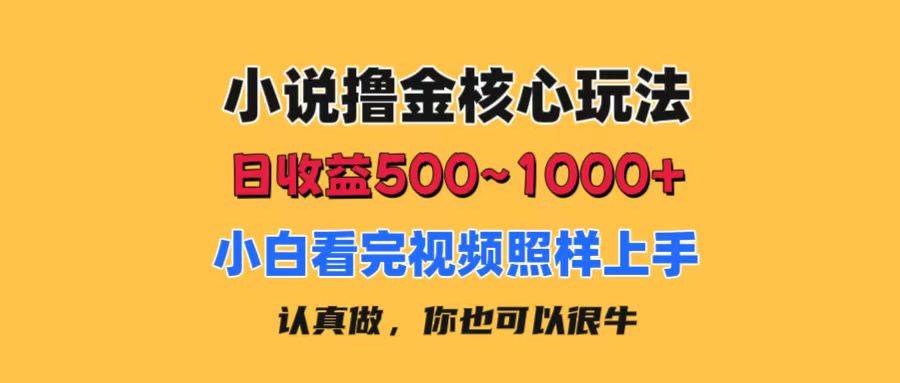 小说撸金核心玩法，日收益500-1000+，小白看完照样上手，0成本有手就行-一起发