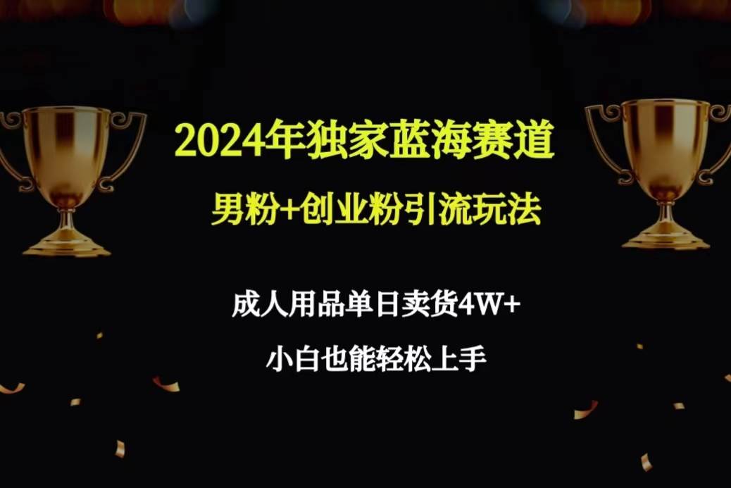 2024年独家蓝海赛道男粉+创业粉引流玩法,成人用品单日卖货4W+保姆教程-一起发