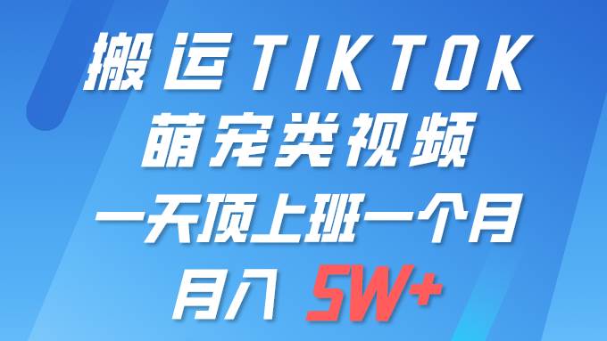 一键搬运TIKTOK萌宠类视频 一部手机即可操作 所有平台均可发布 轻松月入5W+-一起发