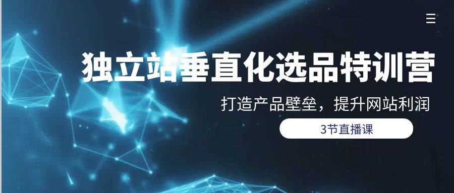 独立站-垂直化选品训练营，打造产品壁垒，提升网站利润（3节直播课）-一起发