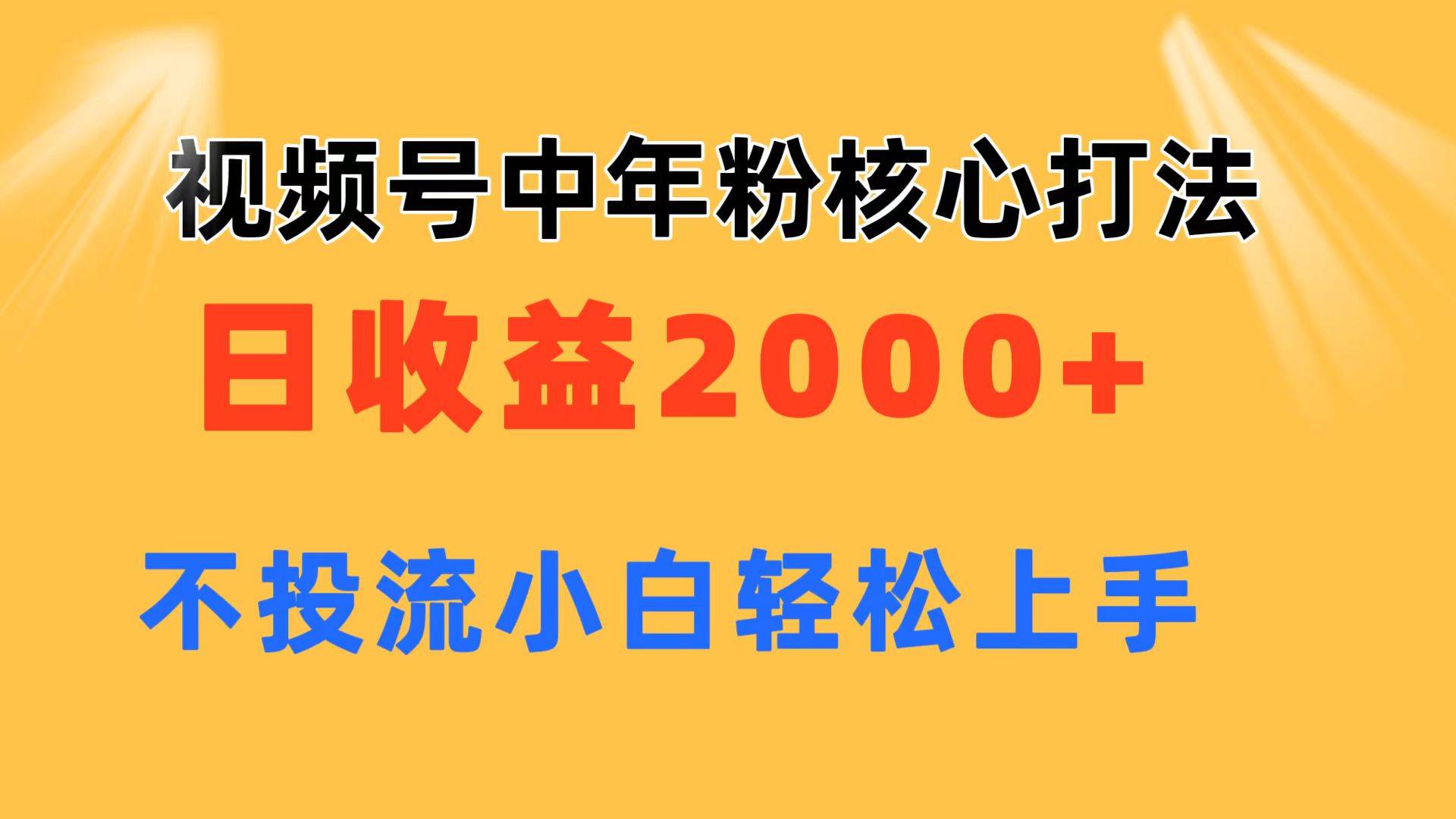 视频号中年粉核心玩法 日收益2000+ 不投流小白轻松上手-一起发