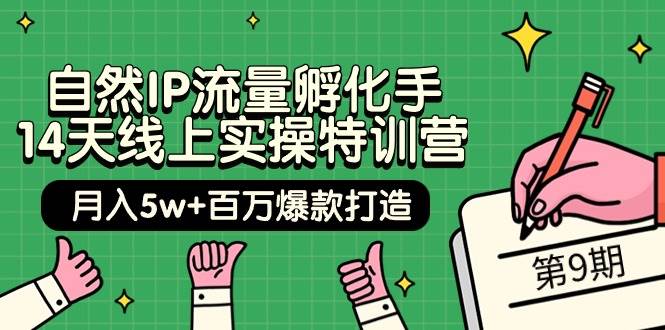 自然IP流量孵化手 14天线上实操特训营【第9期】月入5w+百万爆款打造 (74节)-一起发