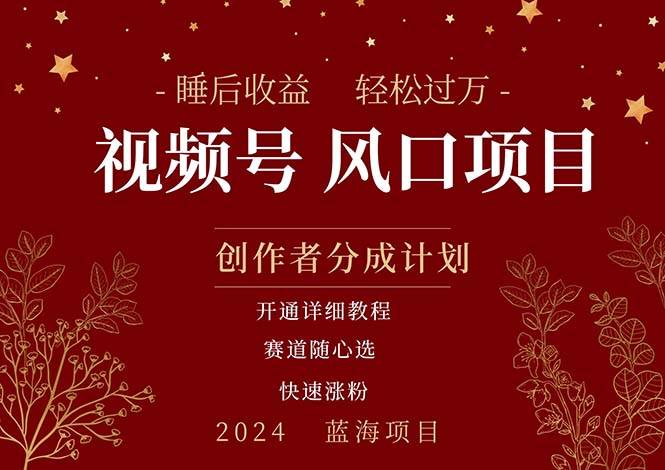 拥有睡眠收益的微信视频号大风口项目，轻松月入过万+，多赛道选择，可…-一起发