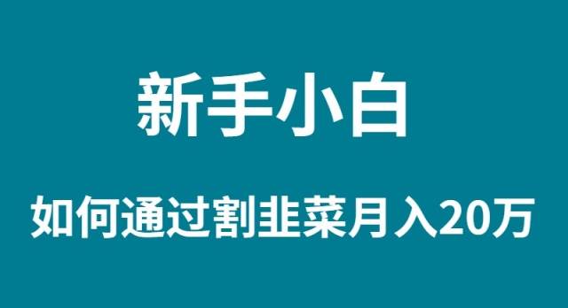 新手小白如何通过割韭菜月入 20W-一起发