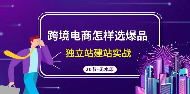 跨境电商怎样选爆品,独立站建站实战(20节高清无水印课)-一起发