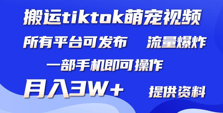 搬运Tiktok萌宠类视频，一部手机即可。所有短视频平台均可操作，月入3W+-一起发