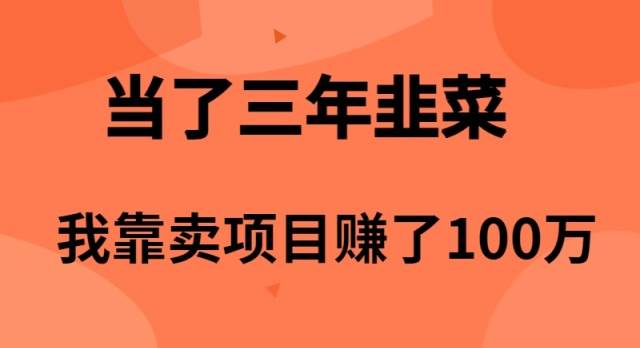 当了3年韭菜,我靠卖项目赚了100万-一起发