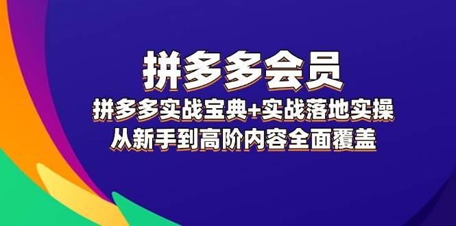 拼多多 会员，拼多多实战宝典+实战落地实操，从新手到高阶内容全面覆盖-一起发