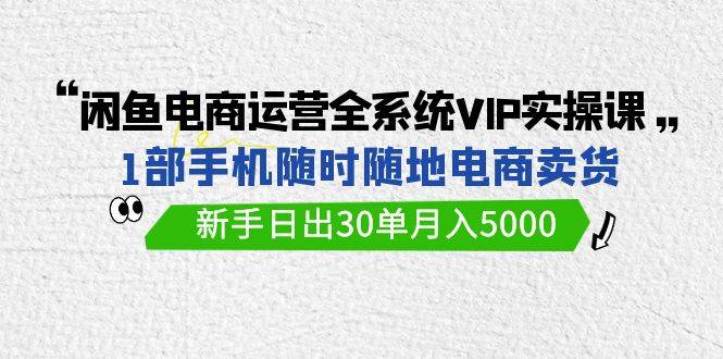 闲鱼电商运营全系统VIP实战课，1部手机随时随地卖货，新手日出30单月入5000-一起发