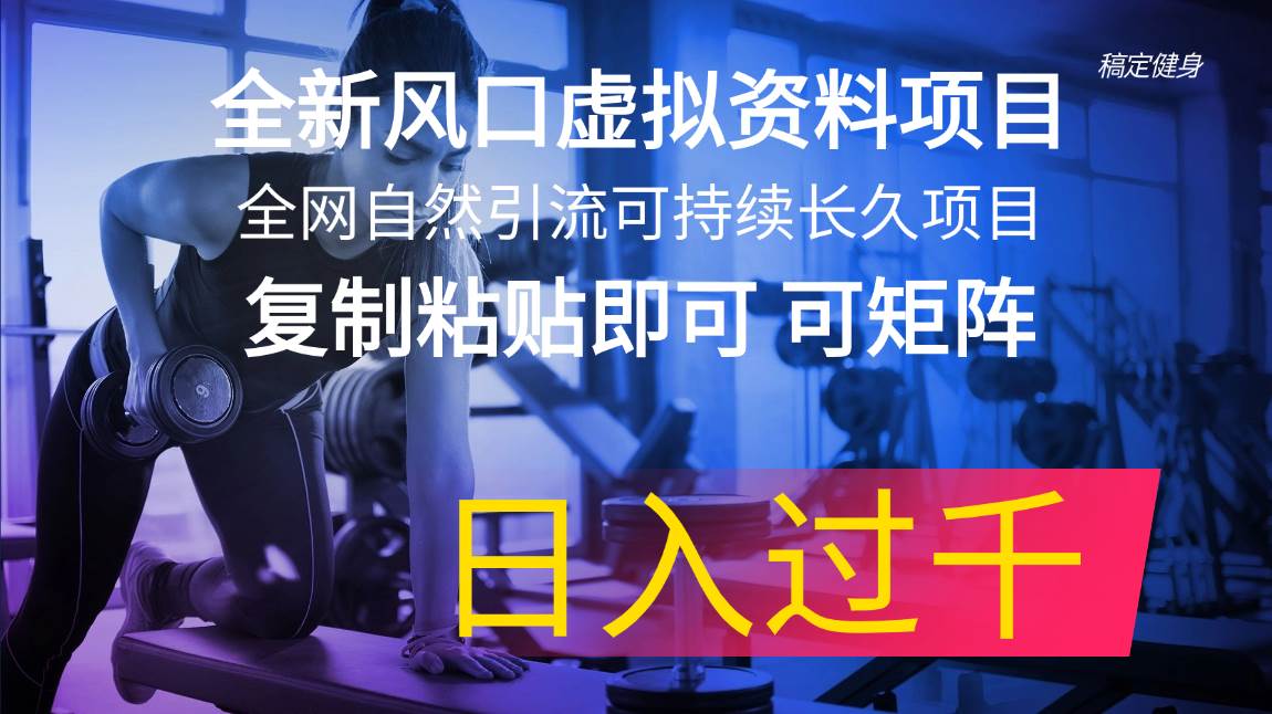 全新风口虚拟资料项目 全网自然引流可持续长久项目 复制粘贴即可可矩阵…-一起发