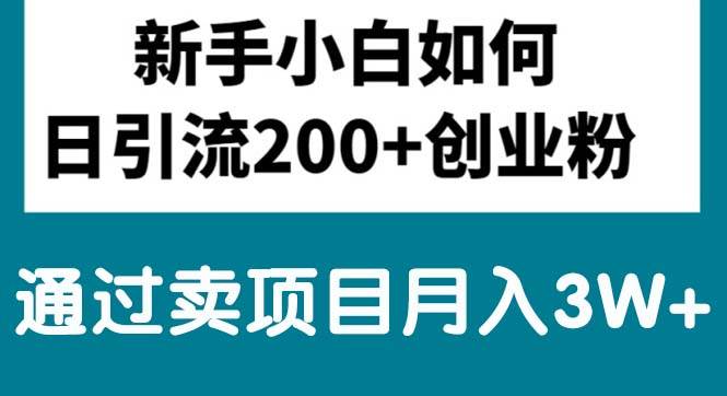 新手小白日引流200+创业粉,通过卖项目月入3W+-一起发