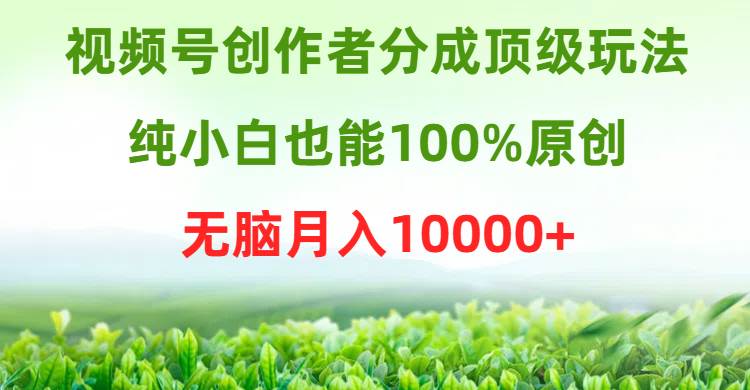 视频号创作者分成顶级玩法，纯小白也能100%原创，无脑月入10000+-一起发