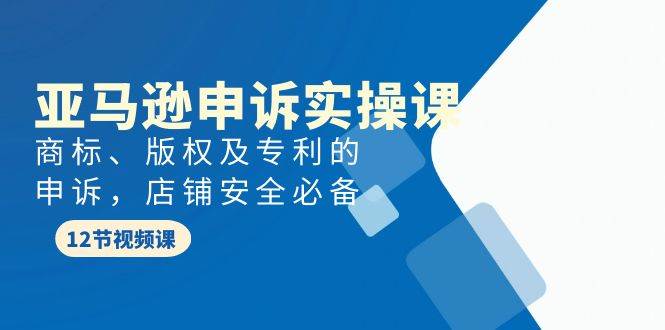 亚马逊-申诉实战课，商标、版权及专利的申诉，店铺安全必备-一起发