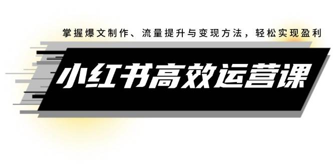 小红书高效运营课：掌握爆文制作、流量提升与变现方法，轻松实现盈利-一起发