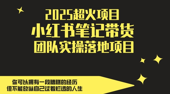 2025超火项目,副业最佳选择,小红书笔记带货团队实操落地项目,,轻松日入5张-一起发