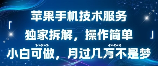 苹果手机技术服务，独家拆解，操作简单，小白可做，月过1W不是梦-一起发