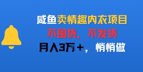 咸鱼卖情趣内衣项目，不囤货，不发货，月入3W+，悄悄做-一起发