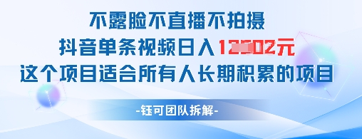 不露脸不直播不拍摄抖音单条视频日入1k+这个项目适合所有人长期积累的项目-一起发