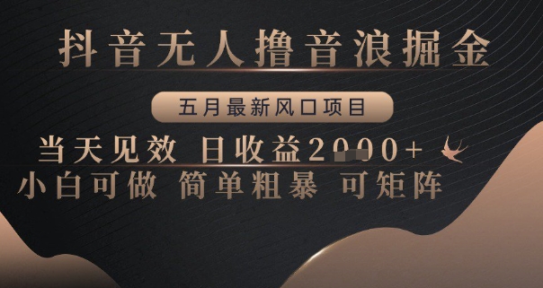 抖音无人撸音浪掘金，五月最新风口项目，当天见效，日收益多张，小白可做简单粗暴可矩阵【揭秘】-一起发