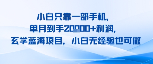 小白只靠一部手机,单月到手2W+利润,玄学蓝海项目,小白无经验也可做-一起发