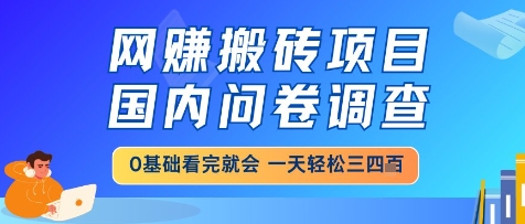 网创搬砖项目，国内问卷调查，小白轻松上手，一天三四张的也不难，干就完了【揭秘】-一起发