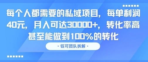 每个人都需要的私域项目，每单利润40米，月入可达3W+，转化率高 甚至能做到100%的转化-一起发