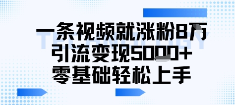 一条视频就涨粉8W引流变现5k+，0基础项目轻松上手-一起发