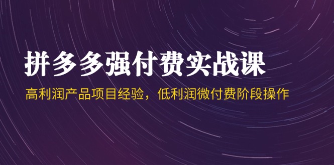 （14874期）拼多多强付费实战课-44期，高利润产品项目经验，低利润微付费阶段操作-一起发