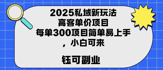 2025私域新玩法高客单价，每单3张操作简单，小白可轻松上手-一起发