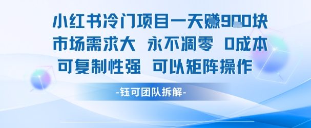 小红书冷门项目一天收益9张，市场需求大，0成本，可复制性强可以矩阵操作-一起发