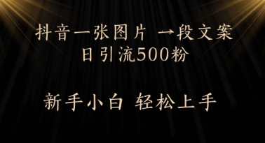 每天2分钟，抖音一张图片 一段文案日引流500粉-一起发
