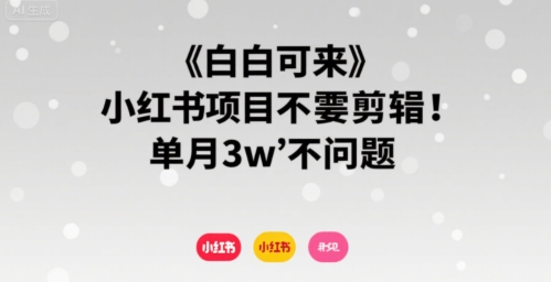 小白可来 小红书项目不需要剪辑 单月3w不是问题-一起发