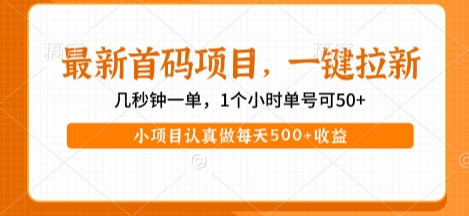 最新首码项目,操作最简单,收益高,一键拉新,1个小时单号可50+,小项目认真做每天5张+收益【揭秘】-一起发
