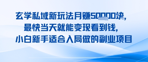 玄学私域新玩法月入1W+，最快当天就能变现看到米，小白新手适合入局做的副业项目-一起发