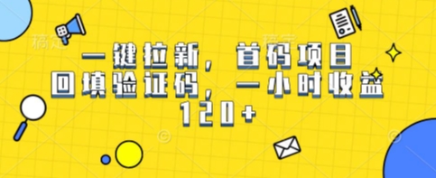 一键拉新,首码项目,回填验证码,一小时收益1张-一起发