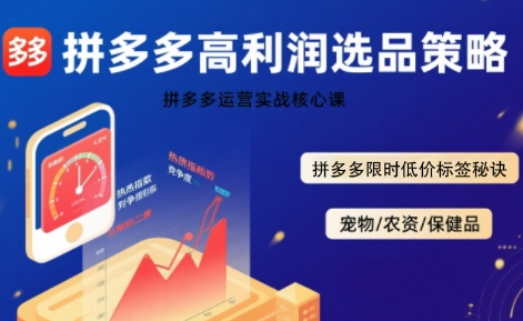 拼多多选品暴利技术实战课,拼多多高利润选品策略,拼多多限时低价标签秘诀-一起发