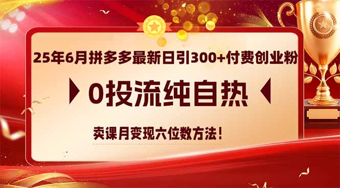 （14989期）25年6月拼多多最新日引300+付费创业粉，0投流纯自热 卖课月变现六位数方法-一起发