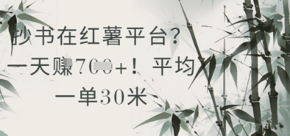 抄书在小红薯平台?平均一单30米,一天收益几张!-一起发