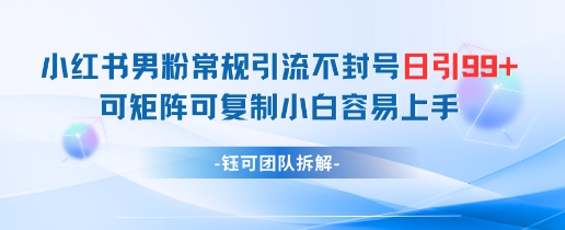 小红书男粉常规引流不封号日引99+变现简单 可矩阵可复制小白容易上手-一起发