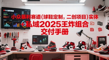 小众暴利赛道(球鞋定制，二创项目)实体+私域2025王炸组合  交付手册-一起发