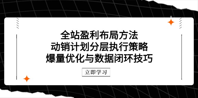（14698期）全站盈利布局方法：动销计划分层执行策略，爆量优化与数据闭环技巧-一起发