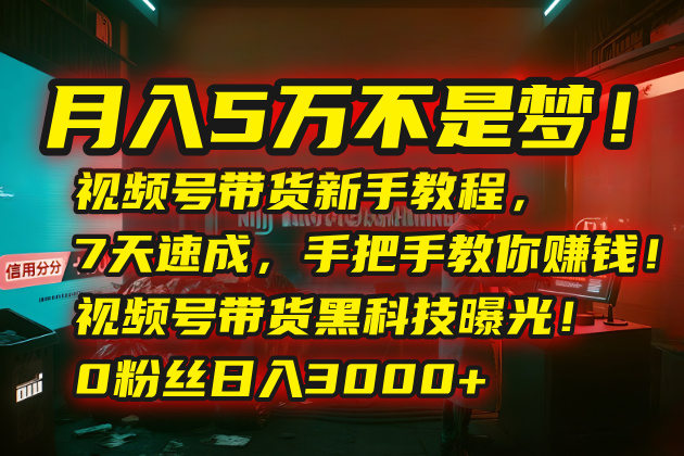 （15595期）月入5万不是梦！视频号带货新手教程，7天速成，手把手教你赚钱！视频号...-一起发