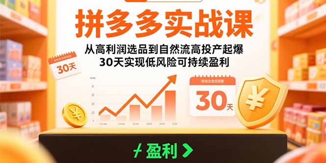（15586期）拼多多实战课：从高利润选品到自然流高投产起爆 30天实现低风险可持续盈利-一起发