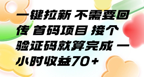 一键拉新 不需要回传 首码项目 接个验证码就算完成 一小时收益70+【揭秘】-一起发
