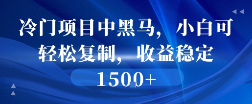 冷门项目中黑马，小白可轻松复制，收益稳定1.5k-一起发