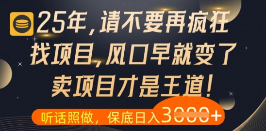 什么?25年你还在疯狂找项目做,醒醒吧,看完这些你全都懂了【揭秘】-一起发