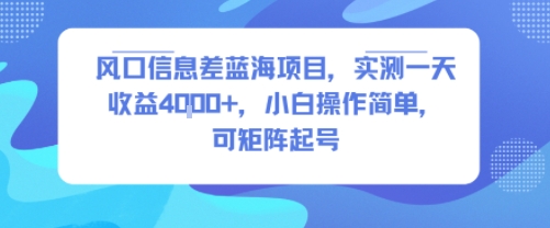 风口信息差蓝海项目，实测一天收益4k+，小白操作简单，可矩阵起号-一起发